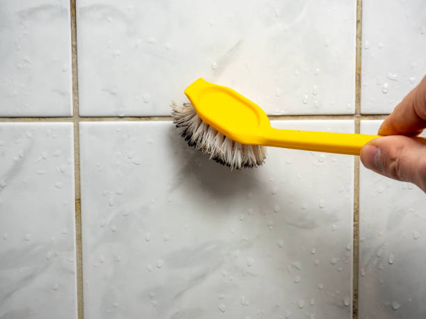 Best Residential Mold Removal  in Emerald Isle, NC